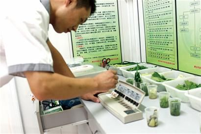 江蘇宿遷開展新鮮水果中農(nóng)藥殘留檢測工作 江蘇宿遷開展新鮮水果中農(nóng)藥殘留檢測工作